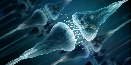 Zajímavostí je, že CBD dokáže aktivovat také receptory, s nimiž jinak nesouvisí, kupříkladu ty serotoninové